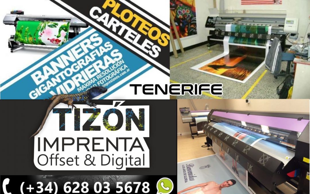 impresion de Vinilo Microperforado para Vehículos coches vidrios tenerife adeje arona sur la camella