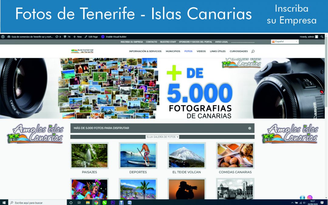 fotos de las mejores playas de tenerife sur islas canarias